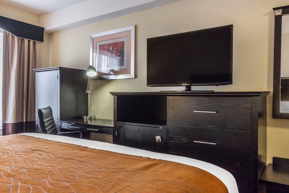 

Roma - Long Island City - Comfort Inn & Suites LaGuardia Airport