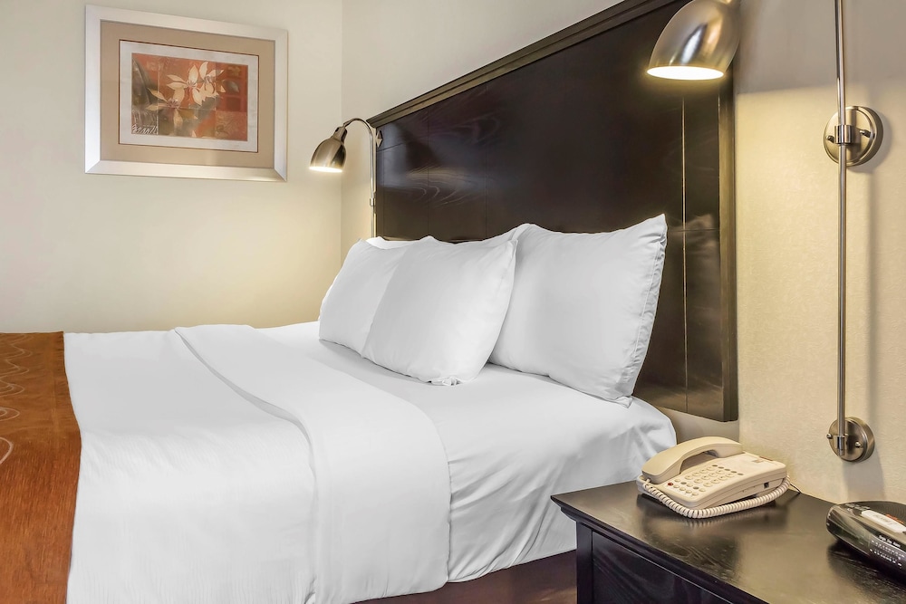

Pisa - Long Island City - Comfort Inn & Suites LaGuardia Airport