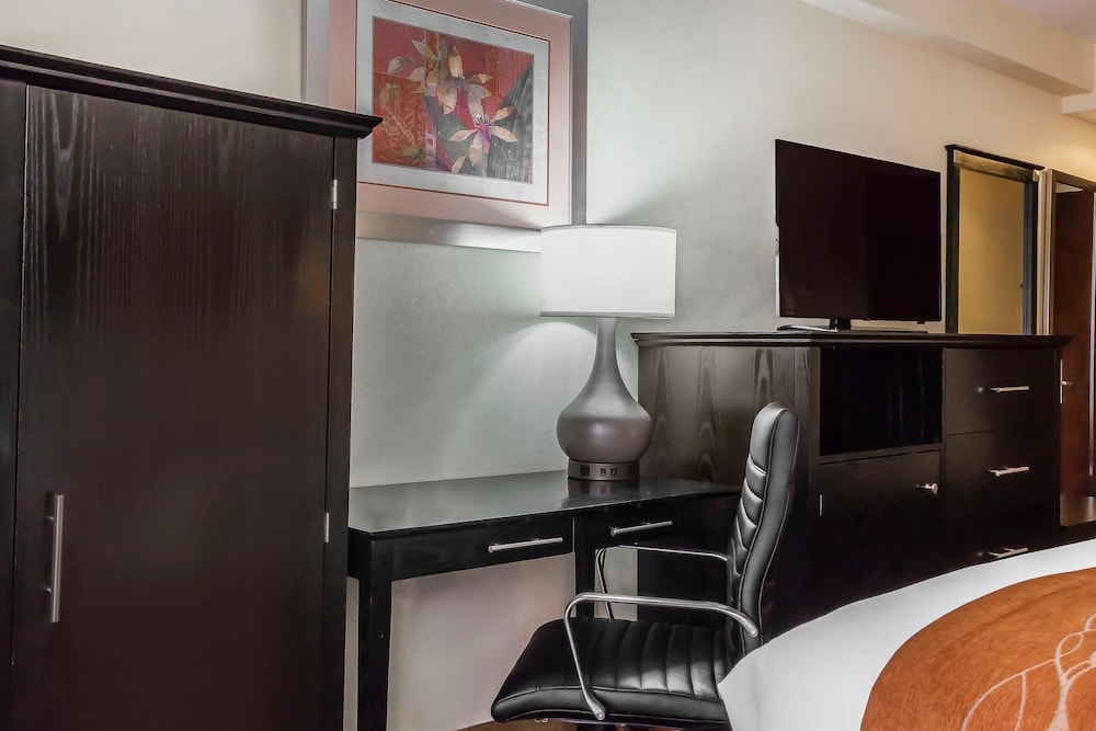

Palermo - Long Island City - Comfort Inn & Suites LaGuardia Airport