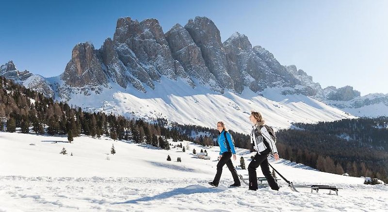 

Bologna - Selva di Val Gardena, Montagna Italia - Hotel Fines