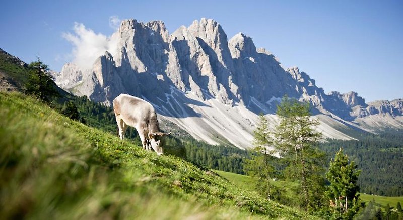 

Milano - Santa Cristina Valgardena - Hotel Fines