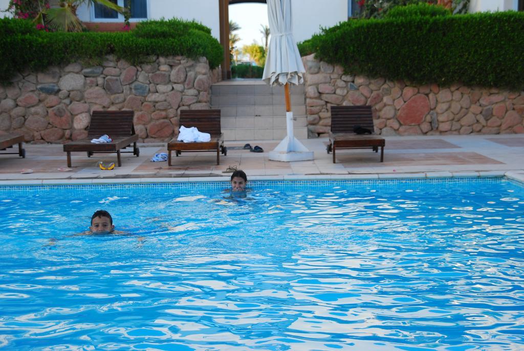 

Roma - Sharm El Sheikh - Logaina Sharm Resort Apartments