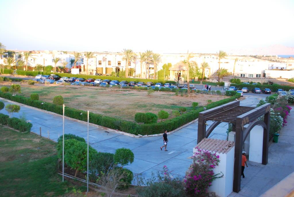 

Napoli - Sharm El Sheikh, Mar Rosso - Logaina Sharm Resort Apartments