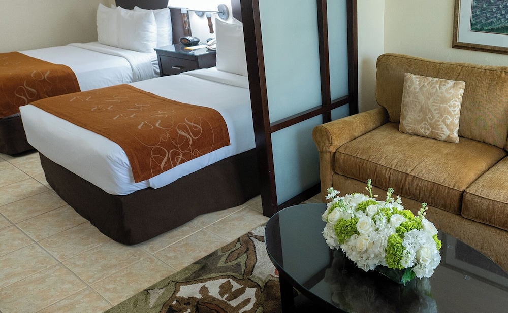 

Venezia - Nassau (Bahamas), Caraibi - Comfort Suites Paradise Island
