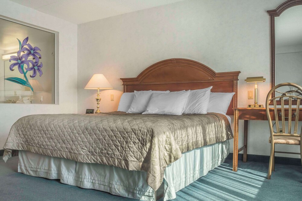 

Brindisi - Cascate del Niagara - Rodeway Inn Fallsview