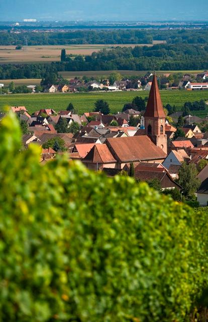 

Bari - Colmar - Hôtel Restaurant Logis La Palette