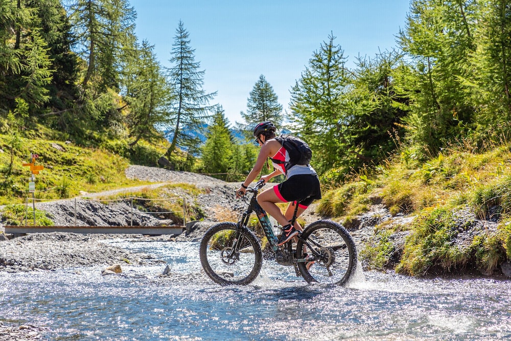 

Milano - Ayent - Faern Crans-Montana Valaisia