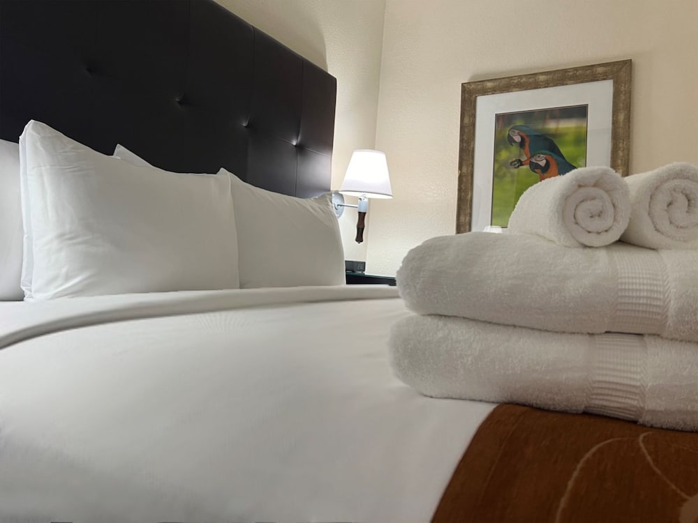 

Napoli - Paradise Island - Comfort Suites Paradise Island