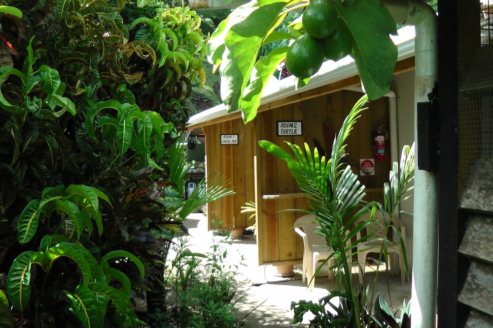 

Bologna - Savusavu - Gecko Lodge Fiji Private Hotel