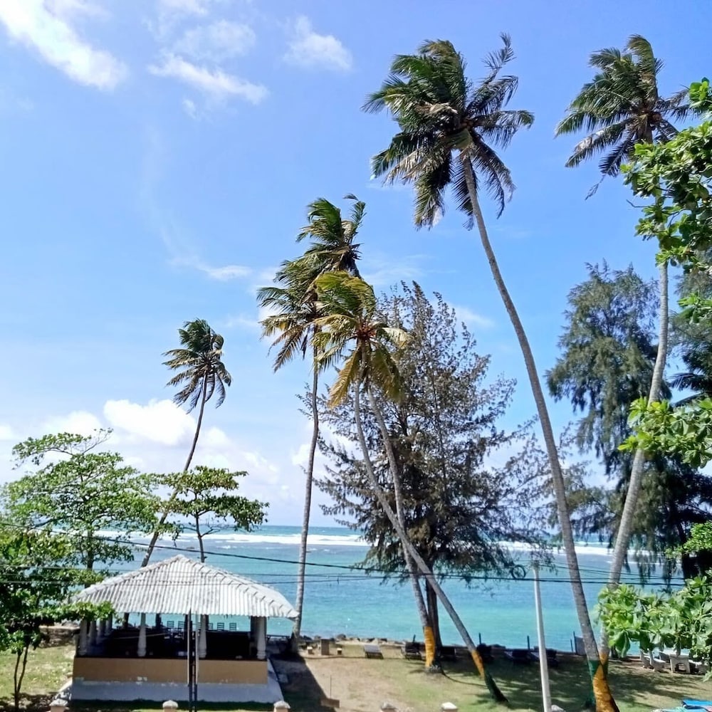 

Roma - Matara - Reef Garden Polhena