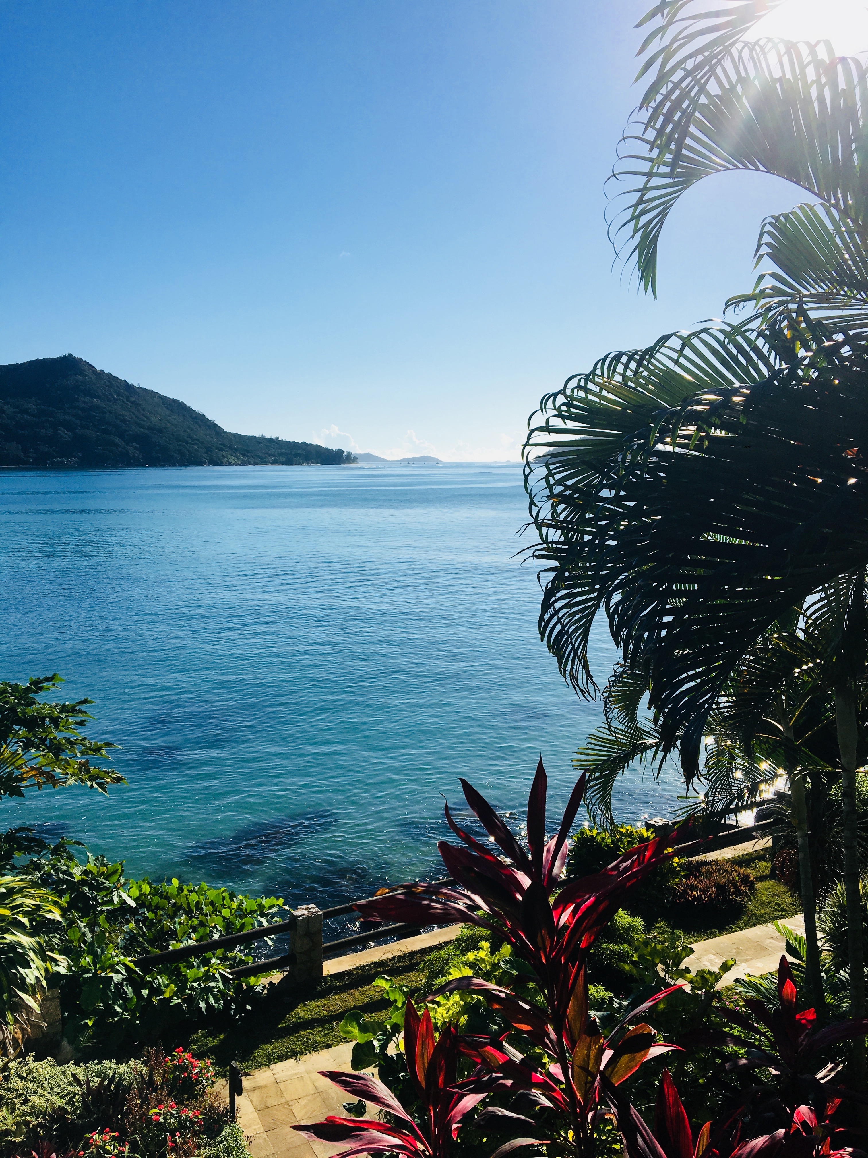 

Bari - Grand Anse, Isola di Praslin - Colibri Guest House
