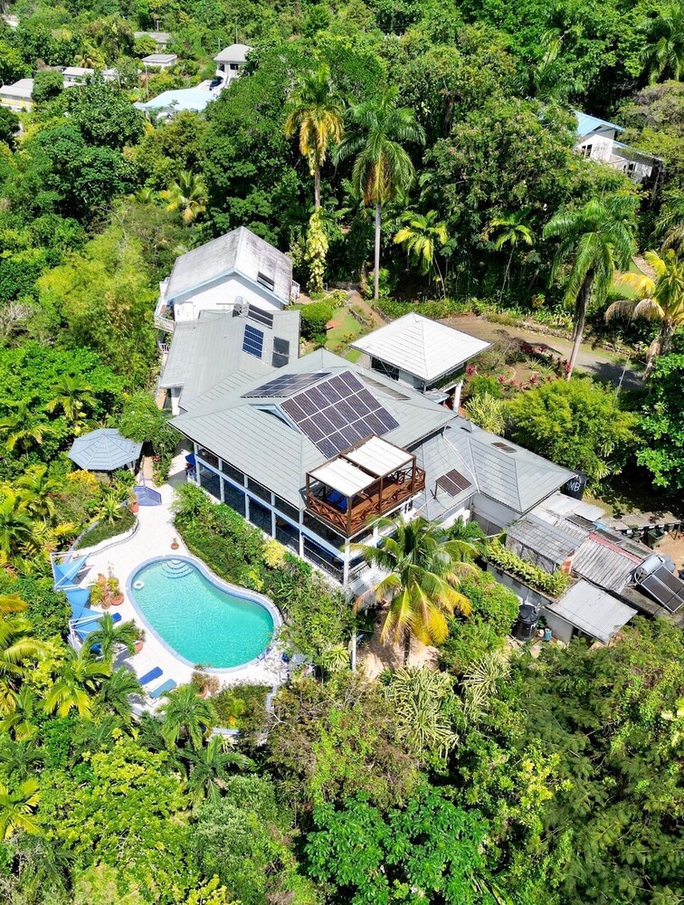 

Milano - Port Antonio - LF Jungle Retreat
