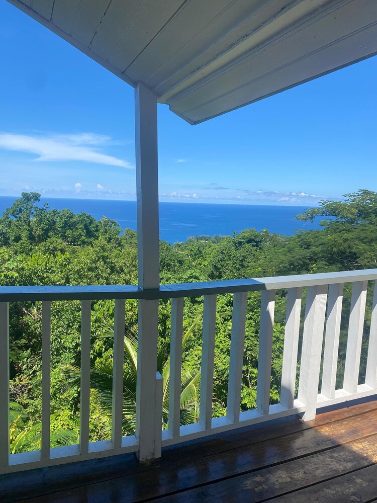 

Torino - Port Antonio - LF Jungle Retreat