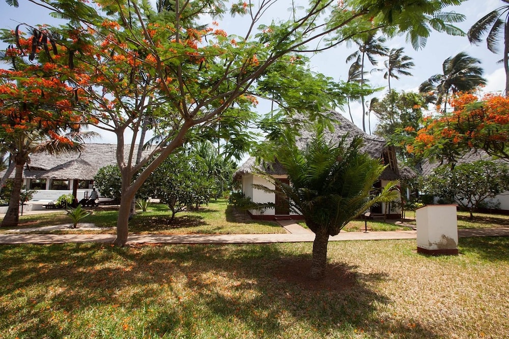 

Roma - Pongwe, Zanzibar - Jaz Adonia Beach Resort