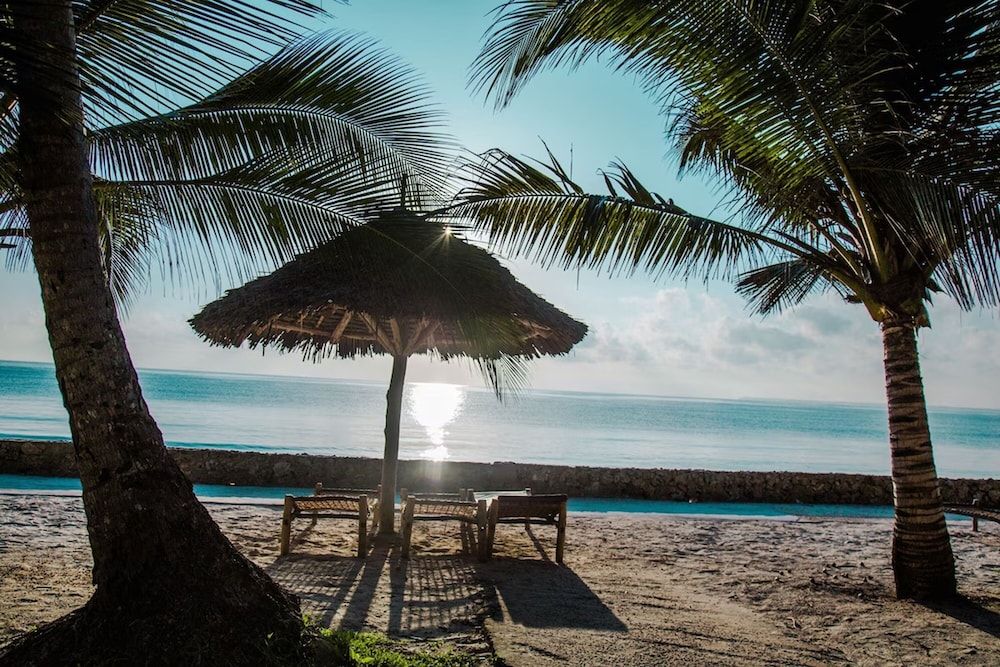 

Roma - Pongwe, Zanzibar