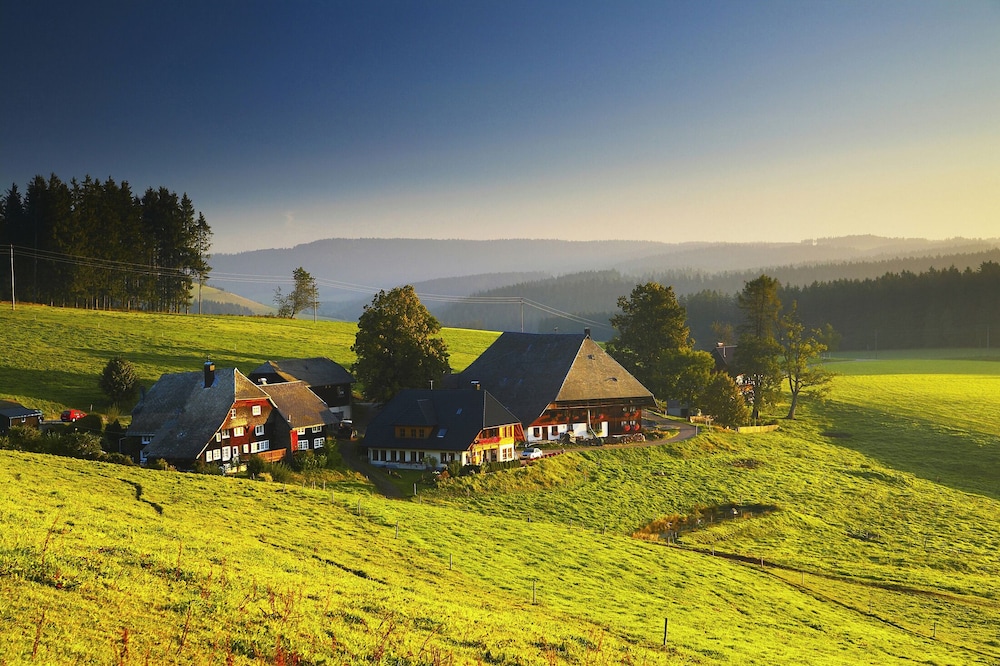 

Roma - Titisee-Neustadt - JUFA Hotel Schwarzwald