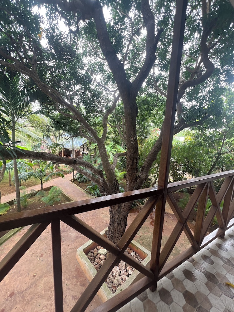 

Verona - Nungwi, Zanzibar - Olimpos