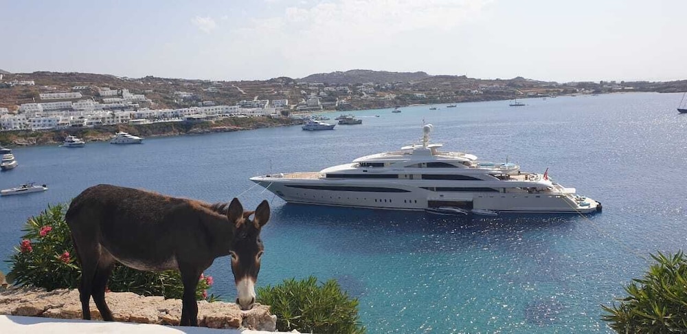 

Verona - Mykonos, Isole Greche - Mykonos Azure