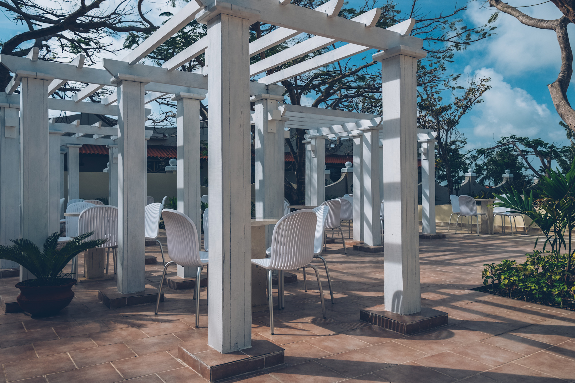

Firenze - Cayo Guillermo - Iberostar Origin Daiquiri - All Inclusive