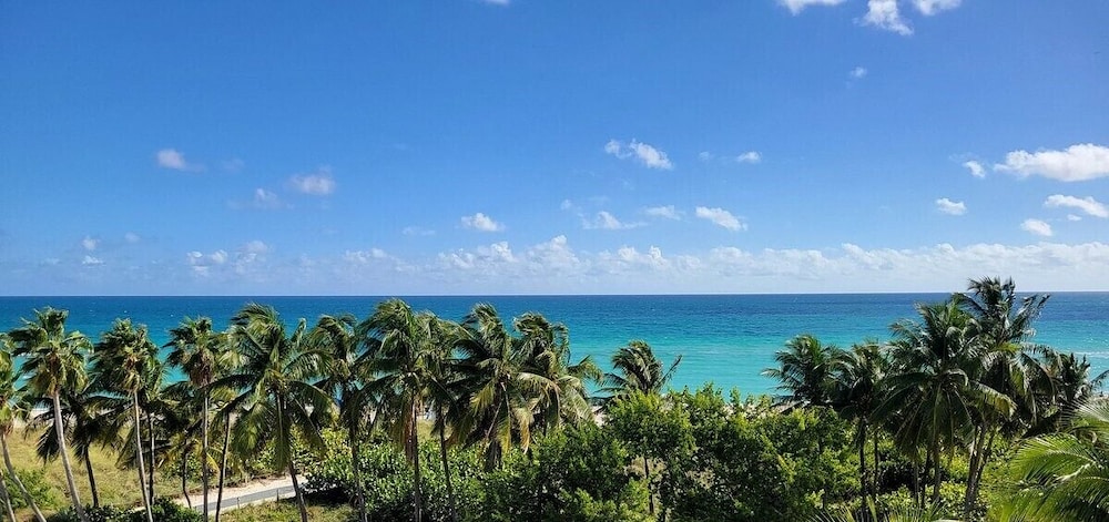 

Milano - Miami Beach (FL) - Broadmore Miami Beach