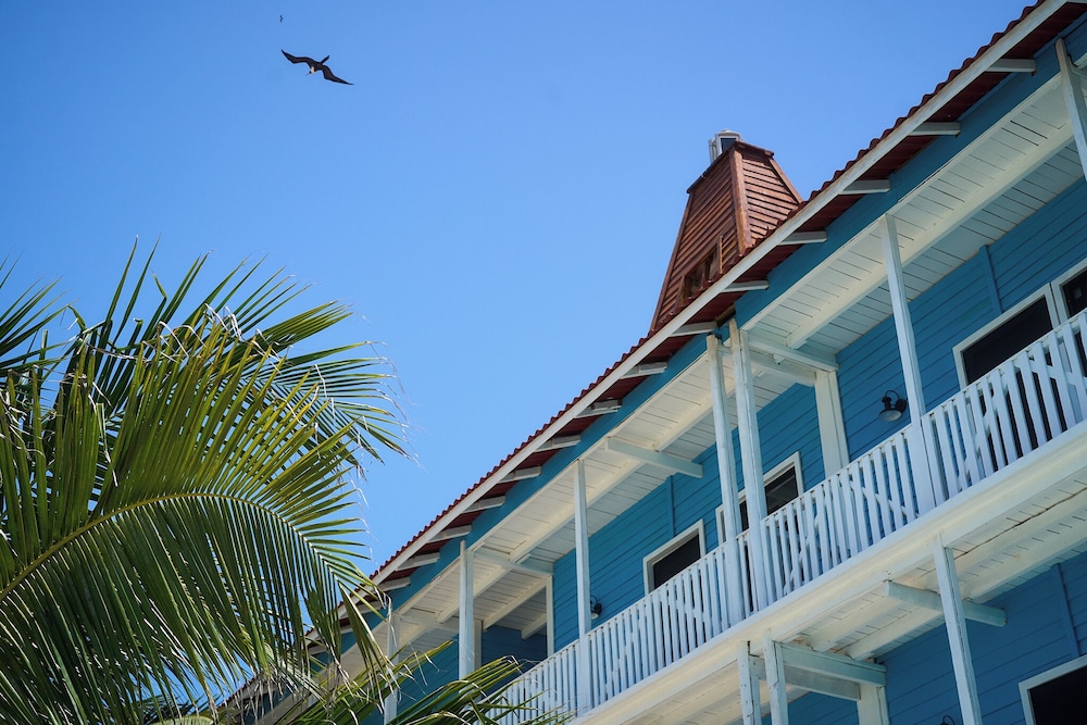 

Bologna - Isla Holbox