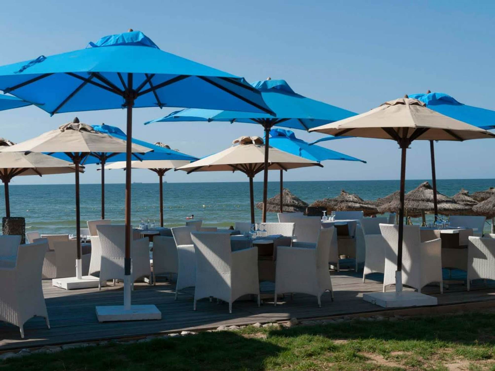 

Bologna - Monastir - Royal Thalassa
