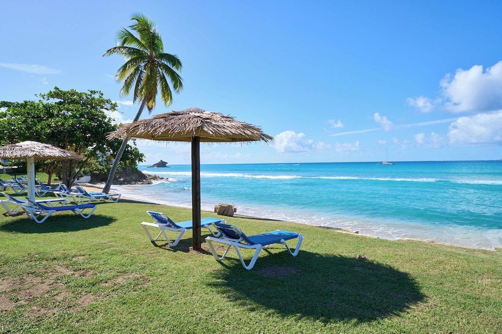 

Milano - Jolly Harbour - Hawksbill Resort Antigua