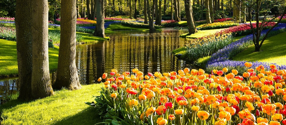 

Napoli - Aalsmeer - Boutique Hotel Herbergh Amsterdam Airport FREE PARKING