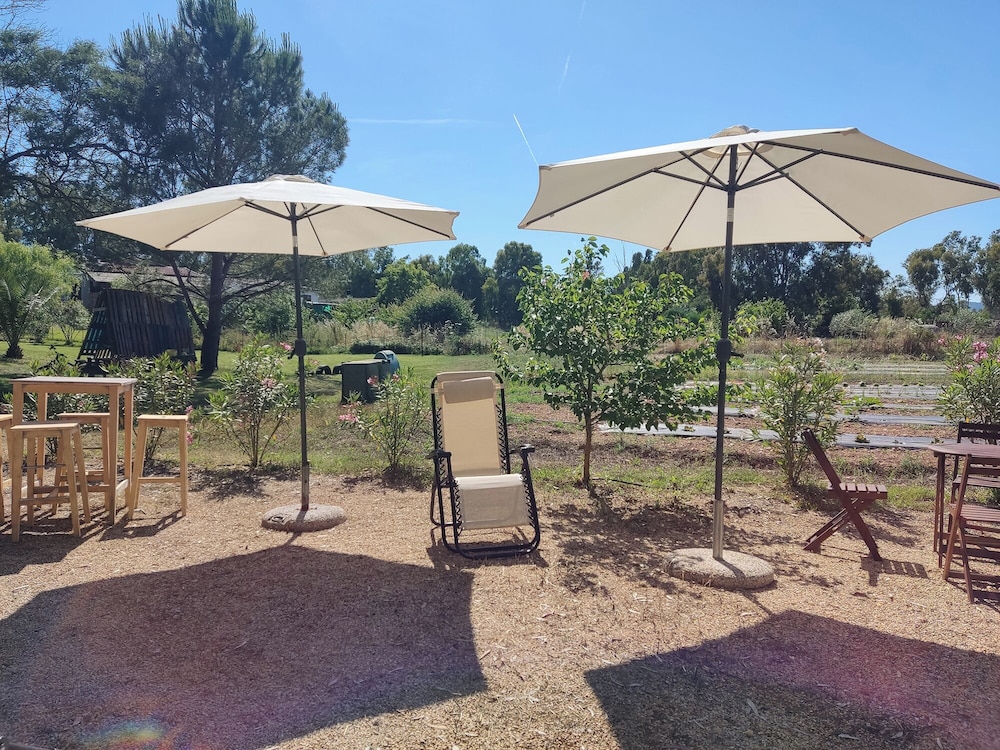 

Perugia - Alghero - Bed & Breakfast Pintadera
