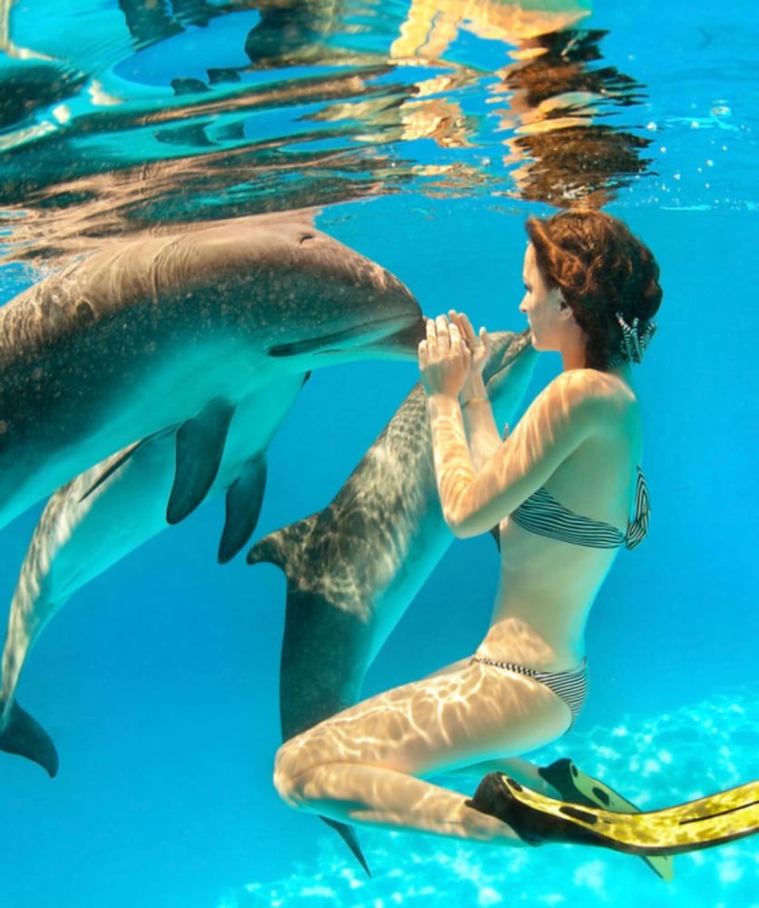 

Roma - Poste de Flacq - Golden Rod villa