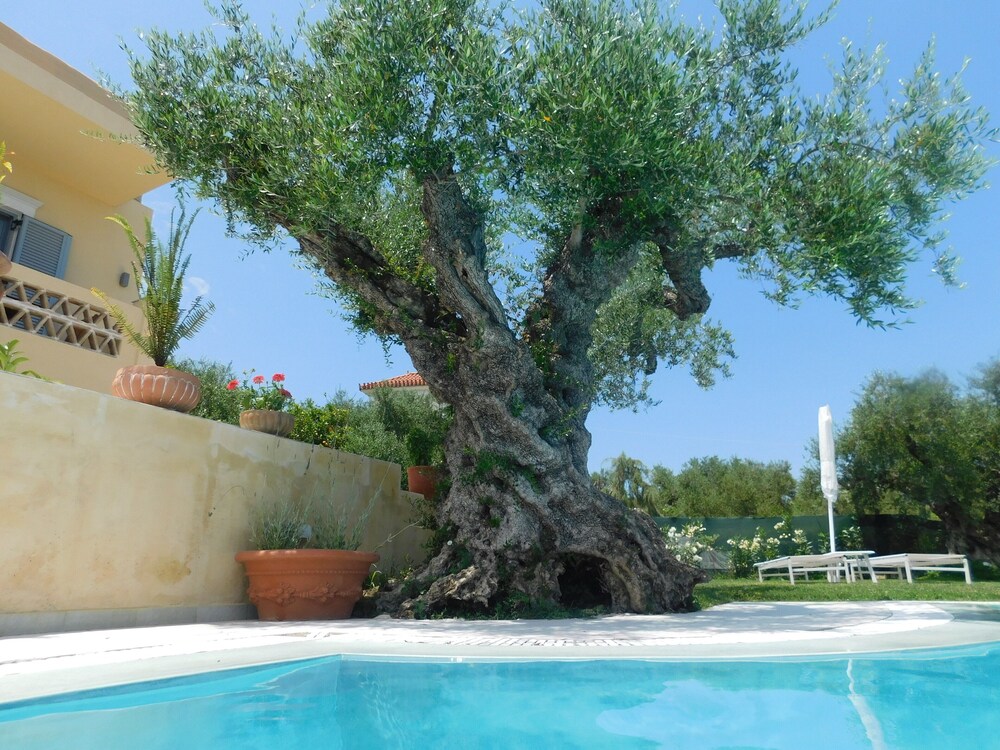

Venezia - Kallithea (Zakinthos) - Orea Superior Rooms