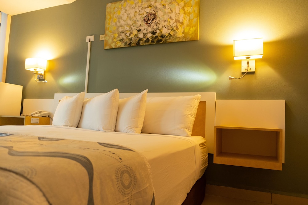 

Milano - Belize City - Golden Tree Hotel