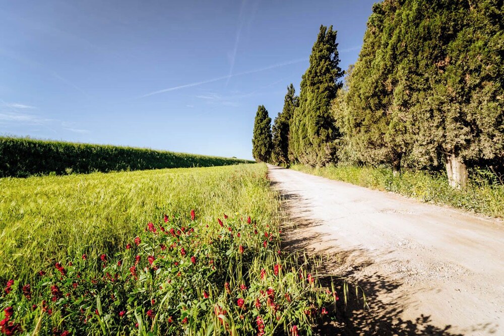 

Bari - Grosseto - Agriturismo Bio San Mamiliano