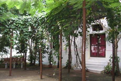

Milano - Havana - San Alejandro
