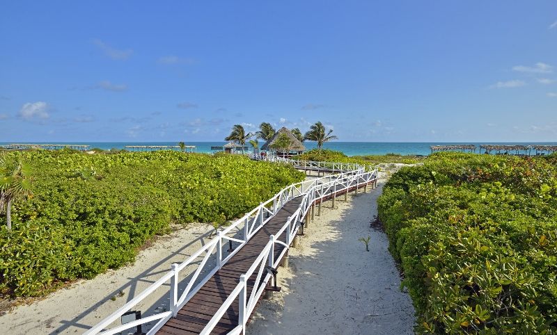 

Bari - Cayo Santa Maria - Melia Las Dunas All Inclusive