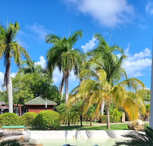 

Milano - Varadero - Blau Varadero - Adults Only +18