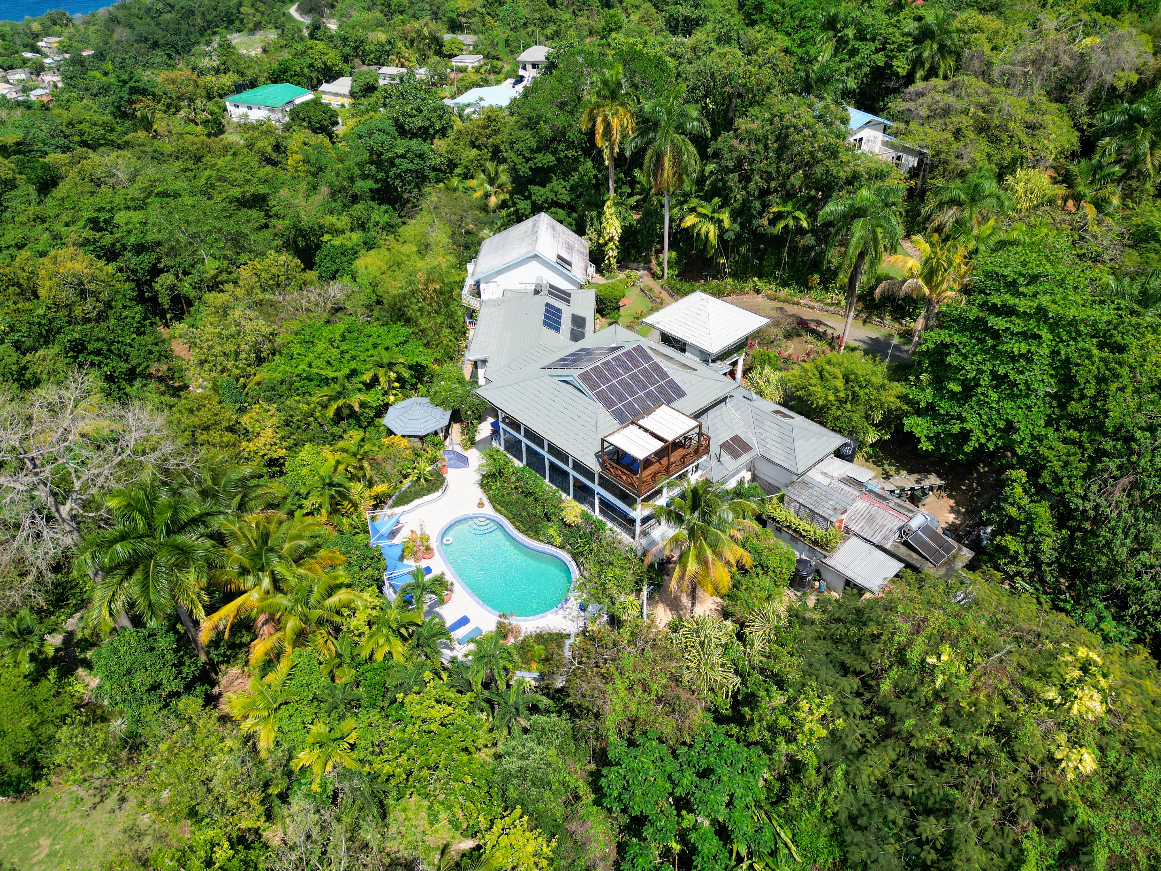 

Milano - Port Antonio - Lf Jungle Retreat