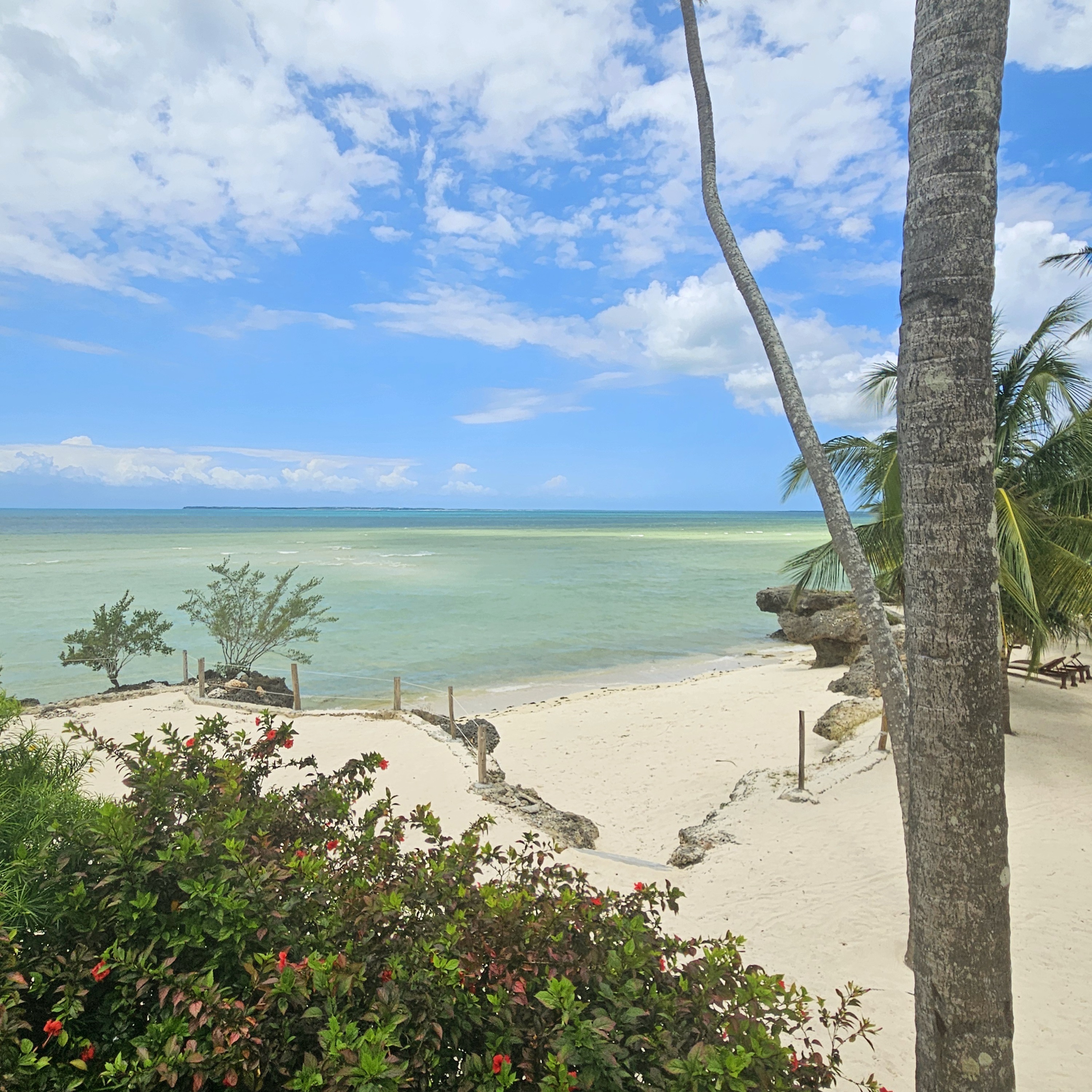 

Venezia - Pongwe, Zanzibar - Maharaja Boutique Hotel Zanzibar