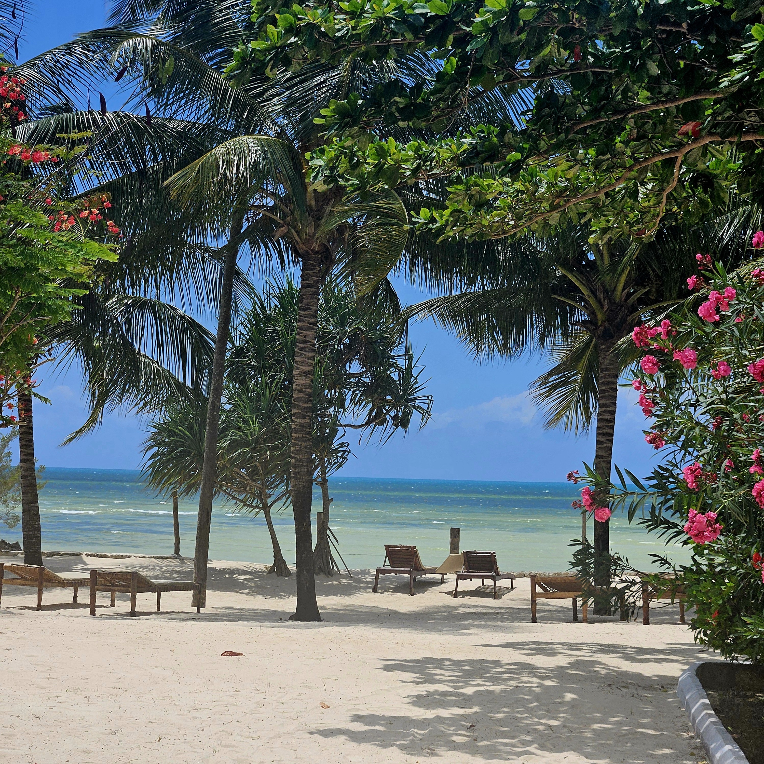 

Genova - Uroa - Maharaja Boutique Hotel Zanzibar