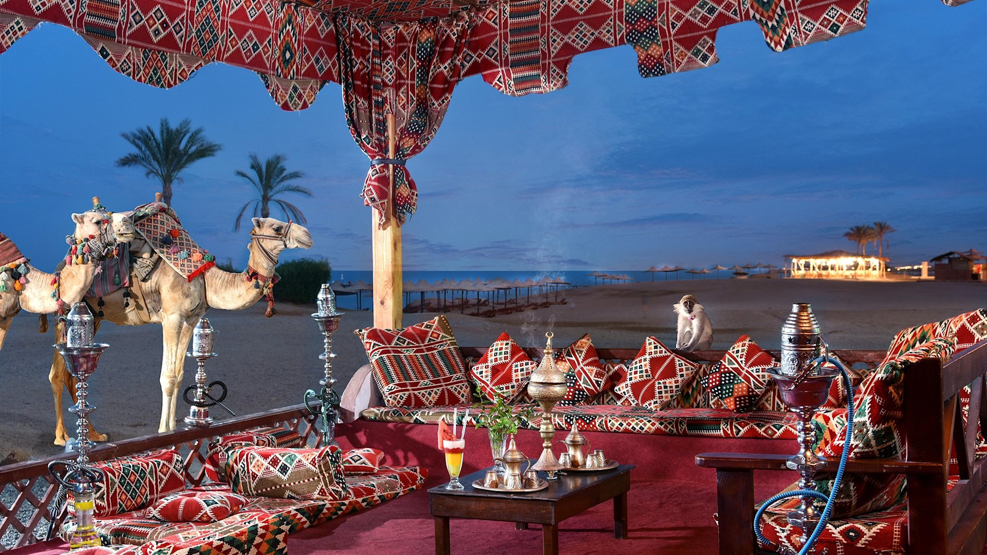

Bologna - Port Ghalib - Bliss Nada Beach Resort