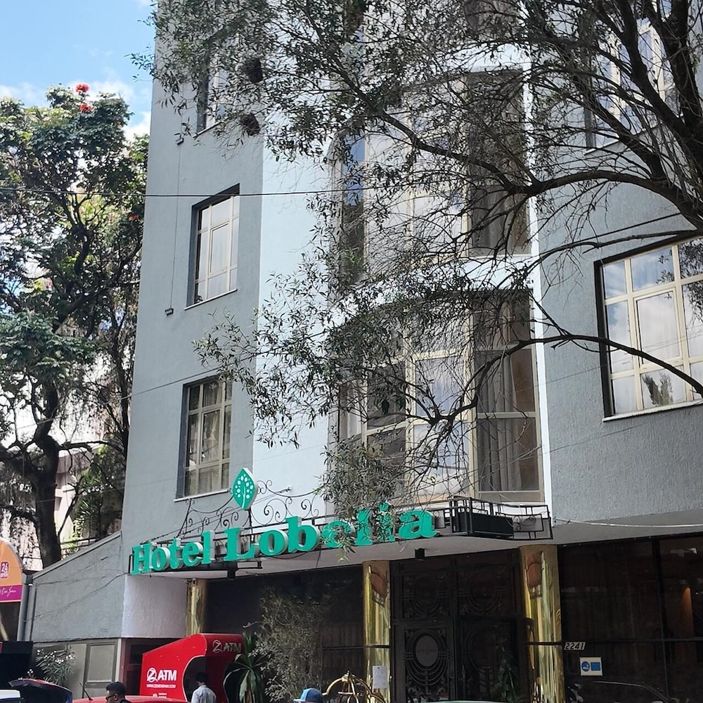 

Roma - Addis Ababa - Hotel Lobelia