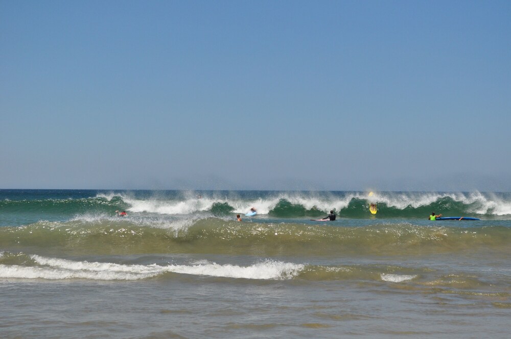 

Bologna - Tamarindo