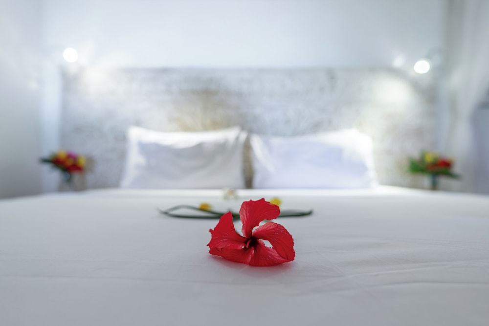 

Bologna - Ukunda - Nomad Beach Resort