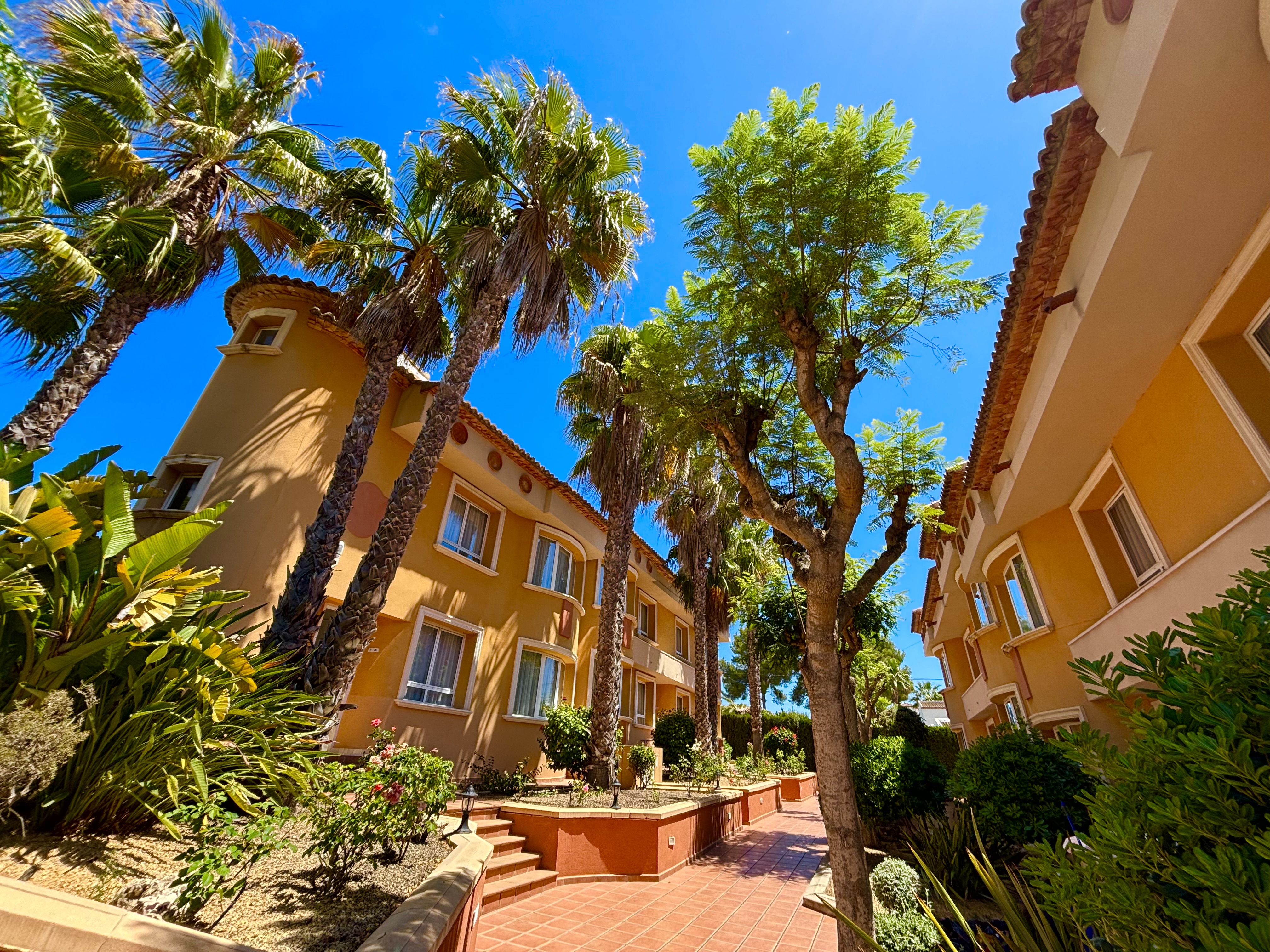

Roma - Jávea - Aparthotel Pinosol