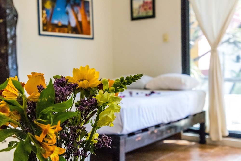 Firenze - Playa del Carmen - Moonshine Hotel