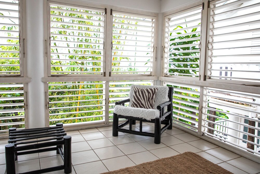 

Bologna - Port Antonio - LF Jungle Retreat