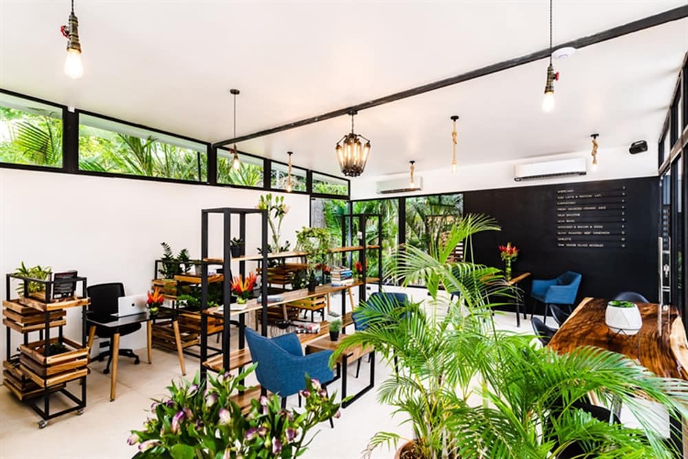 

Bari - Tamarindo - In the Shade Hotel - Coworking - Adults Only