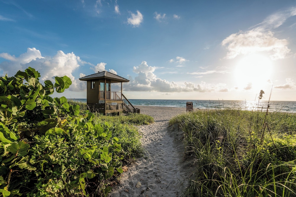 

Milano - Delray Beach - Aloft Delray Beach