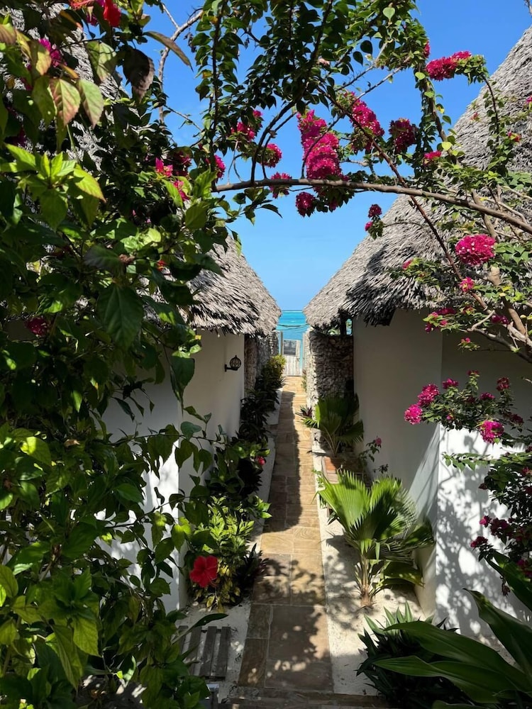 

Milano - Pingwe - Bitcoin Beach Hotel Zanzibar