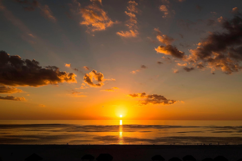

Roma - Marco Island - JW Marriott Marco Island Beach Resort